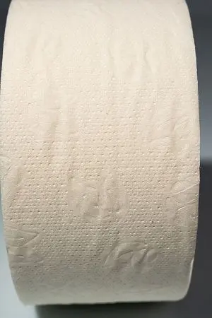Фото №3 - Вик: Бумага туалетная 1сл 200м целлюлоза 100% Фора
