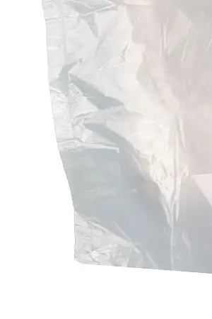 Фото №6 - Одноразовая продукция: Пакет фасовочный 24х37см ПНД /пач.=1000 шт.