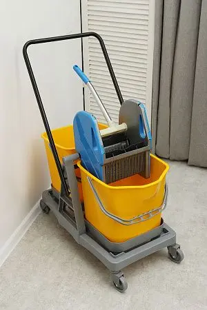 Фото №17 - Вик: Тележка 2х20л пластик с отжимом MRY